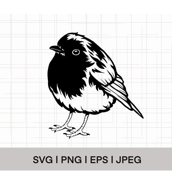 English Robin Bird SVG, PNG, EPS, Instant Download, Digital Download,  Bird Clipart, Bird Vector, Bird Outline, Bird Stencil