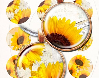 Sunflowers bottle cap images 4x6 inch digital collage sheet 1 inch round images printable downloads