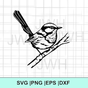 May include: Black and white line art illustration of a small bird perched on a branch. The bird has a round body and a long, pointed beak. The branch is thin and has a few leaves.