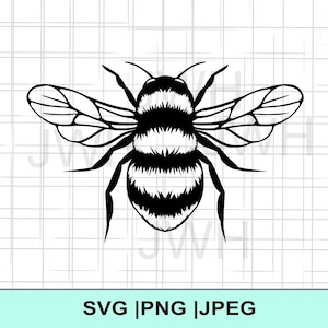 Bee SVG, PNG, JPEG, Instant Download, Digitale download, Grafische afbeelding bij, Bee clipart, Bee cut-bestand
