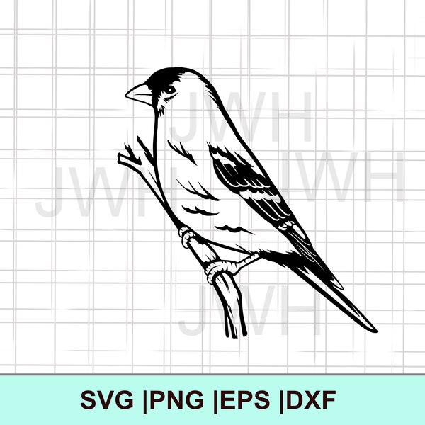 Goldfinch Bird SVG, PNG, EPS, DXf, Instant Download, Digital Download, Goldfinch Clipart, Svg Files for Cricut, Bird Silhouette Outline