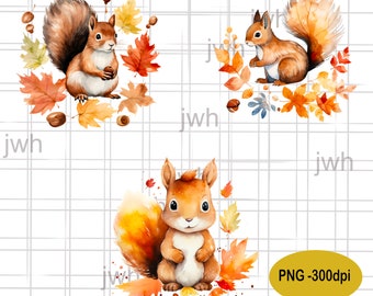 Squirrel Autumn Leaves Foliage Watercolor PNG for Sublimation, Instant Download, Digital Download, Sublimation Designs, Fall Decor