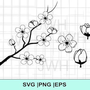 Kirschblüte SVG, PNG, EPS, Sofort Download, Digital Download, Sakura Blume Clipart, SVG-Datei für Cricut, Florale SvgCut-Datei