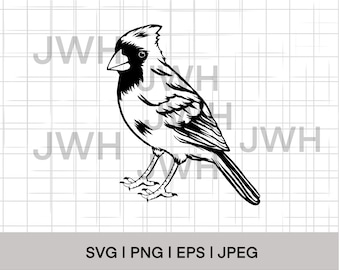 Cardinal Bird SVG, PNG, EPS, Descarga instantánea, Descarga digital, Cardinals Clipart, Bird Vector, Bird Outline, Bird Stencil