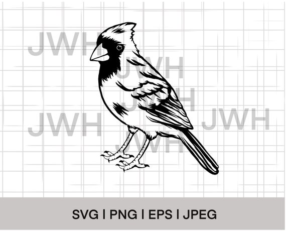 Cardinal Bird SVG, PNG, EPS, Instant Download, Digital Download, Cardinals  Clipart, Bird Vector, Bird Outline, Bird Stencil - Etsy Sweden