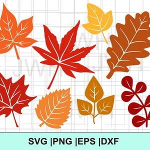 Folhas de Outono SVG, PNG, EPS, DxF, Download Instantâneo, Pacote de Folhas de Outono Svg, Clipart de Folhas de Outono, Outono Outono SvG, arquivo svg de folhas para cricut