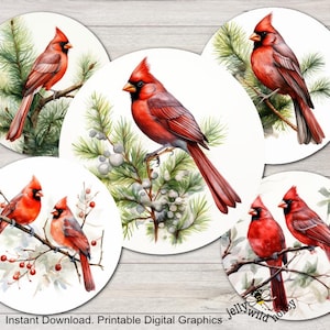 May include: Four round printable digital graphics featuring red cardinals on a white background with green foliage and red berries. The graphics are perfect for crafting projects, scrapbooking, and card making.
