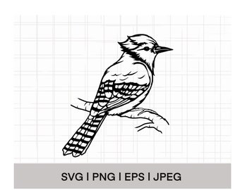 Blue Jay Bird SVG, PNG, EPS, Instant Download, Digital Download,  Bird Clipart, Bird Vector, Bird Outline, Bird Stencil