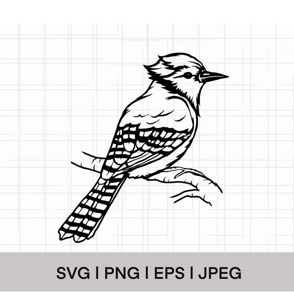 Blue Jay Bird SVG, PNG, EPS, Instant Download, Digital Download,  Bird Clipart, Bird Vector, Bird Outline, Bird Stencil