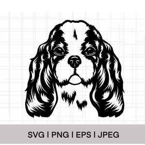 Cavalier King Charles Spaniel chien SVG, PNG, EPS, téléchargement immédiat, téléchargement numérique, clipart chien, vecteur de chien, contour de chien, image graphique