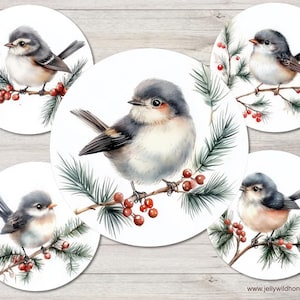 Images de bouchon de bouteille d'oiseau de Noël feuille de collage numérique 1 pouce 25 mm cabochons ronds cercle pendentif bouton épingle à télécharger imprimable