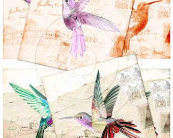 Vintage hummingbird digital collage sheet 4x4 inch tiles instant download and printable for scrapbooking, coasters