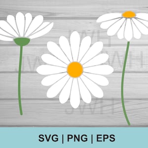Margaritas SVG, PNG, EPS, paquete de margaritas SVG, descarga instantánea, descarga digital, clipart floral, vector de margarita, silueta de flor SVG