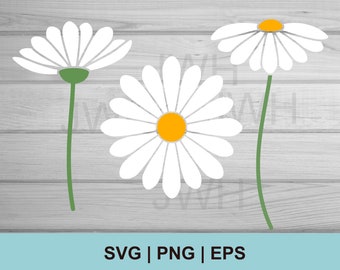 Daisy SVG, PNG, EPS,  Daisies SVg Bundle, Instant Download,  Digital Download, Floral Clipart, daisy Vector, Flower Silhouette SvG