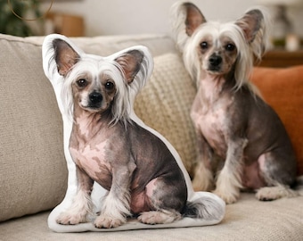 Custom Chinese Crested Pillow, Personalized 3D Dog Shaped Pillow, Realistic Pet Portrait Cushion, Custom Dog Gift, Pet Memorial Pillow