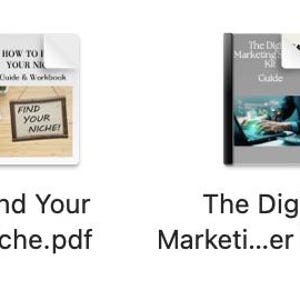 Peut inclure: Une collection de guides et de cours de marketing num&eacute;rique, dont les titres sont "ChatGPT 300+ Prompts", "Niche Ideas For Profitable" et "Canva Crash Course". Chaque guide a une conception de couverture unique, avec du texte visible.