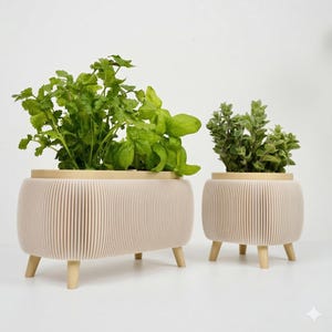 室内用ハーブポットセット - 脚付きモダンリブプランター - ミニマルなキッチン用植物ホルダー - 窓辺のハーブオーガナイザー