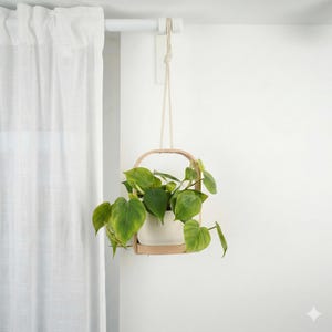 Vaso Sospeso – Supporto Moderno per Piante da Interno – Fioriera Minimalista da Appendere alla Finestra o a Parete - Design scandinavo