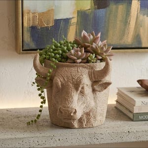 Puede incluir: Una maceta beige con forma de toro llena de suculentas. La maceta tiene un diseño texturizado detallado y contiene suculentas verdes y rosas. Los cuernos y la cara del toro son prominentes.