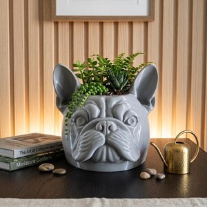 May include: A grey ceramic bulldog-shaped planter filled with green plants. The planter has detailed facial features and large ears. A small, gold watering can and a stack of books are nearby.
