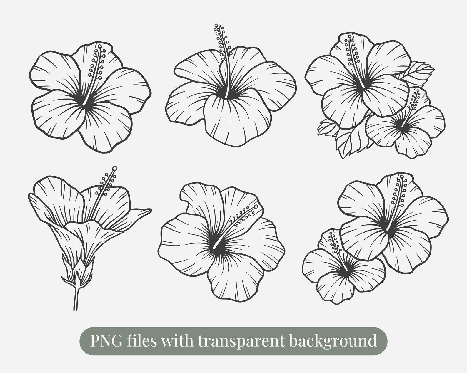 Hibiscus Flower SVG PNG Clipart Bundle | Tropical Floral Line Art Set ...