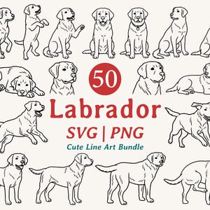 Op de afbeelding: Een verzameling van 50 illustraties van Labrador retrievers in verschillende poses. De afbeelding bevat de tekst "50 Labrador SVG | PNG Cute Line Art Bundle" in rood en turquoise. De honden zijn in zwart-wit afgebeeld.