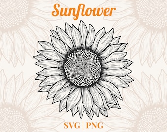 Sonnenblume SVG PNG Clipart | Handgezeichnete florale Linie Kunst für Handwerk, Cricut und Einladung