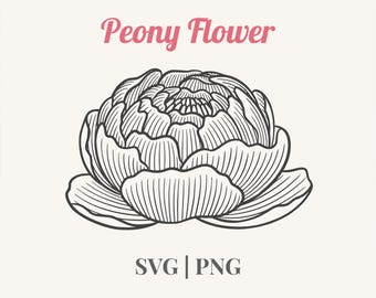 Pfingstrose Blume Line Art SVG PNG | Handgezeichnete florale Cliparts zum Basteln und für Karten