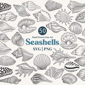 May include: A collection of 50 hand-drawn line art seashells in various shapes and sizes. The image includes conch shells, clamshells, and other marine life illustrations in black and white. Text reads "Seashells SVG | PNG".