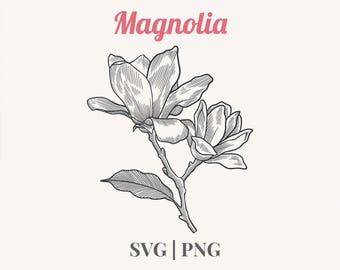 Magnolia Flower SVG PNG | Botanical Line Art Clipart | Floral Outline Illustration