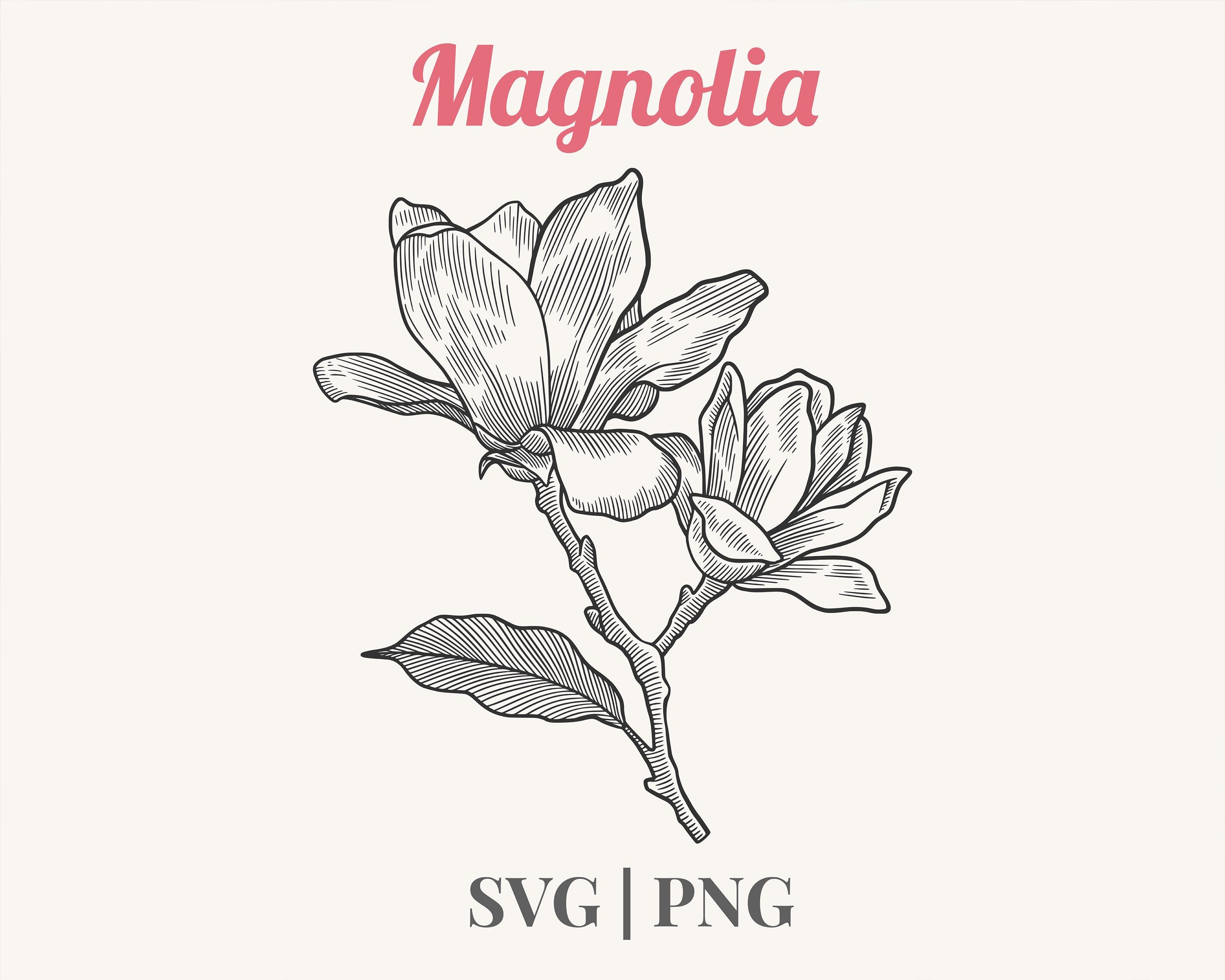 Magnolia Flower SVG PNG Botanical Line Art Clipart Floral Outline magnolia-flower-svg-png-botanical-line-art-clipart-floral-outline