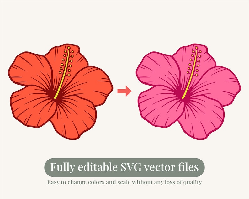 Hibiscus Flower SVG PNG Clipart Bundle | Tropical Floral Vector Set - Etsy