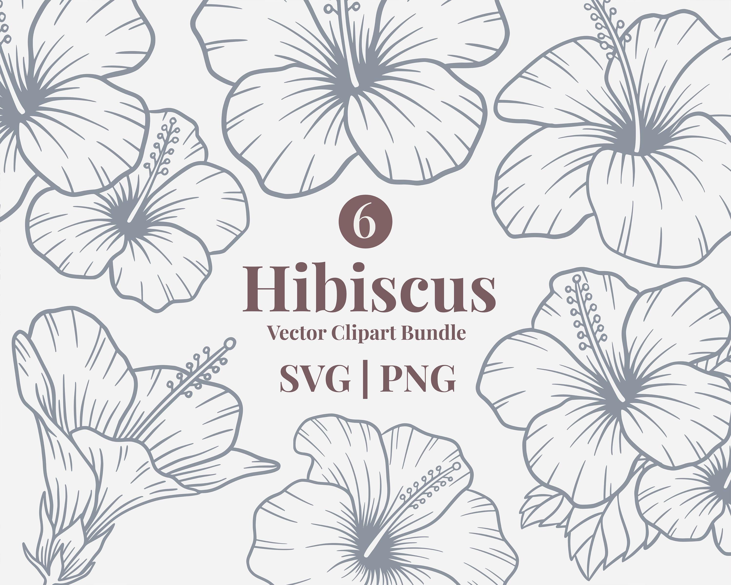 Hibiscus Flower SVG PNG Clipart Bundle | Tropical Floral Line Art Set ...