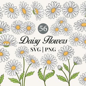 May include: A collection of 56 daisy flower illustrations in various stages of bloom. The daisies have white petals and yellow centers, with green stems and leaves. Text includes "Daisy Flowers" and "SVG | PNG".