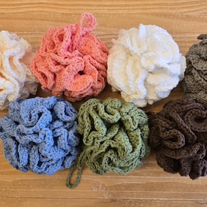 Può includere: Una collezione di sette spugne da bagno all'uncinetto fatte a mano in vari colori, tra cui bianco, rosa, blu, verde, grigio e marrone. Ogni spugna ha un'asola per appenderla ed è disposta su una superficie di legno.