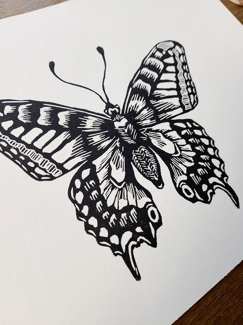 Butterfly Print Insect Nature Design Illustration Art Print Etsy Butterfly Print Insect Nature Design Illustration Art Print Etsy