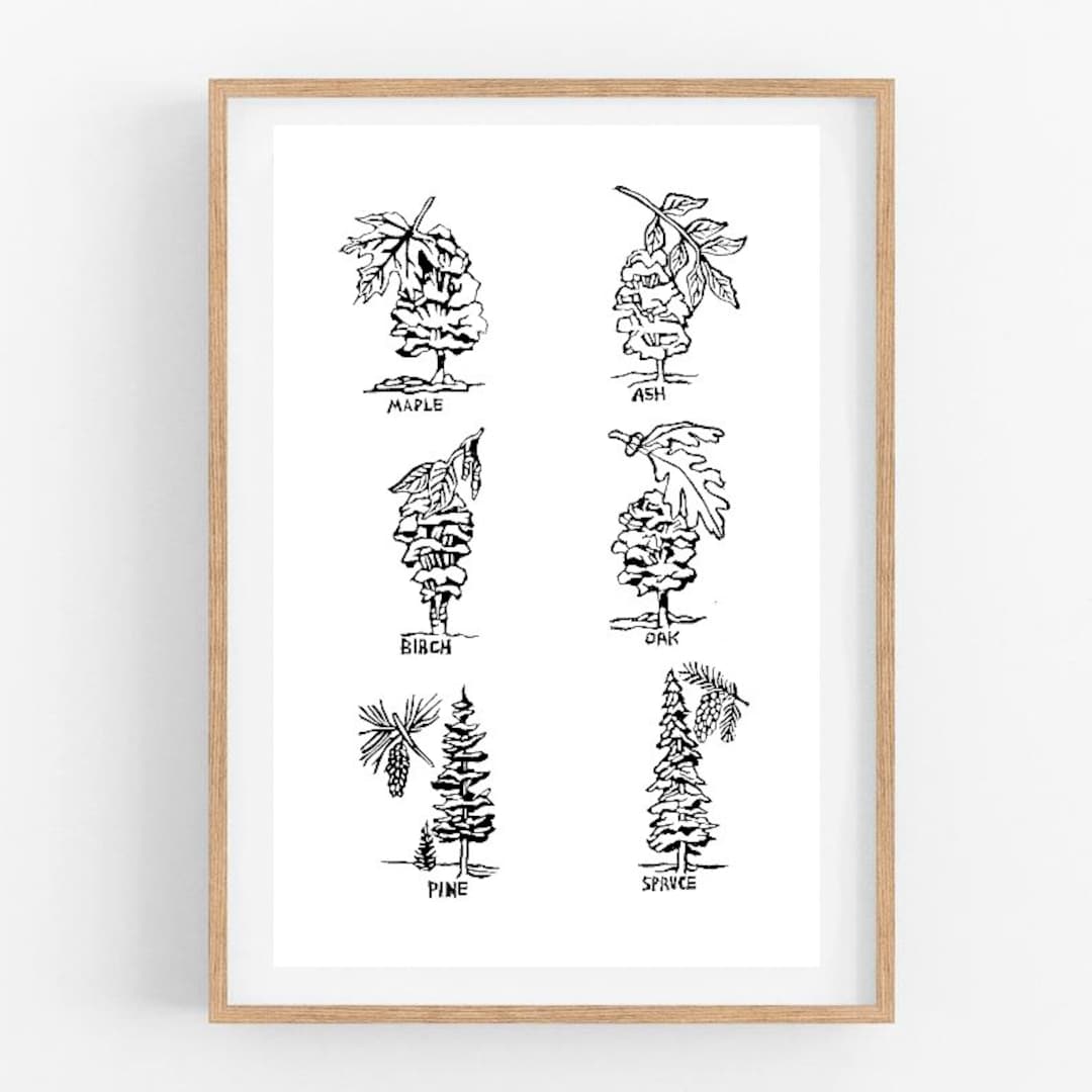 Canadian Tree Print- Nature Design Art Print - Original Minimalist ...