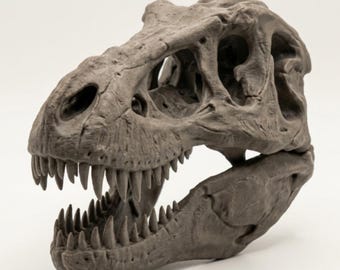 Cráneo de T-rex, dinosaurio tiranosaurio, archivo STL listo para impresión 3D, escultura, esqueleto