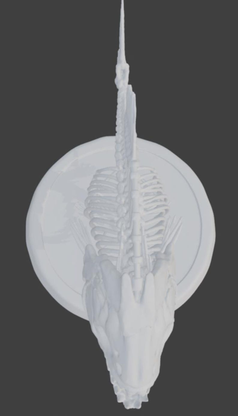 Puede incluir: Una escultura blanca y estilizada de un esqueleto de drag&oacute;n montada sobre una placa circular. La escultura presenta un cr&aacute;neo detallado, una caja tor&aacute;cica y una columna vertebral, con una estructura larga y puntiaguda que se extiende hacia arriba.
