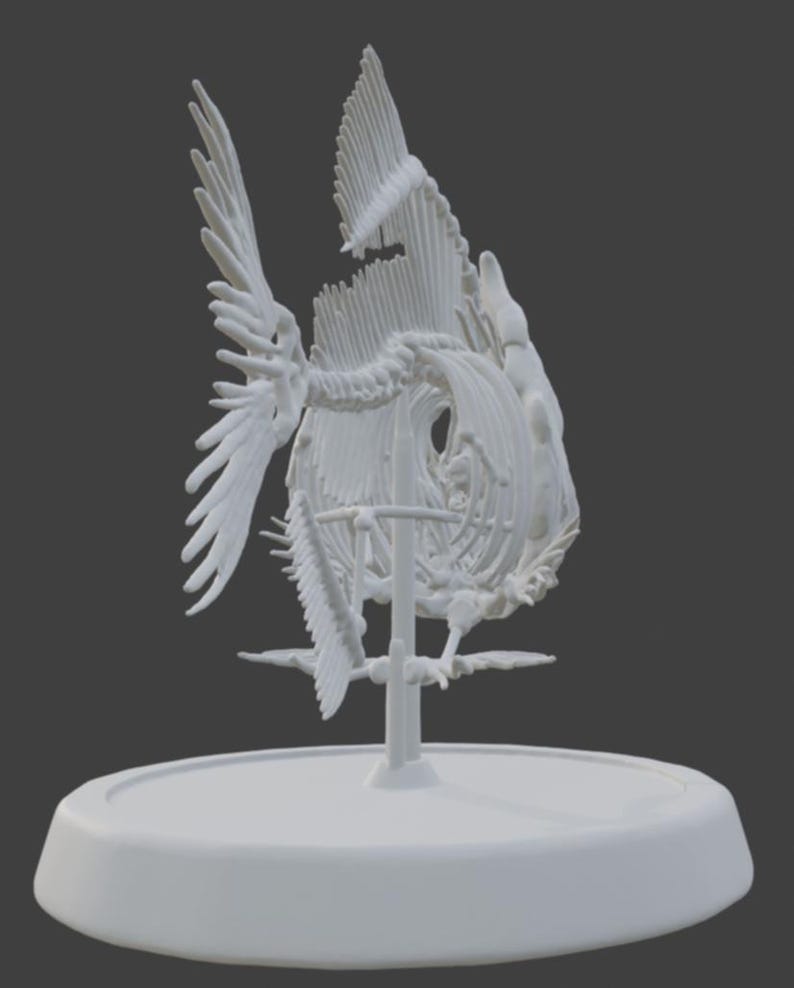 Puede incluir: Escultura blanca de esqueleto de pez estilizado. La escultura presenta una estructura &oacute;sea detallada, incluyendo aletas y cola, montada sobre un soporte y una base circular. Una pieza decorativa.