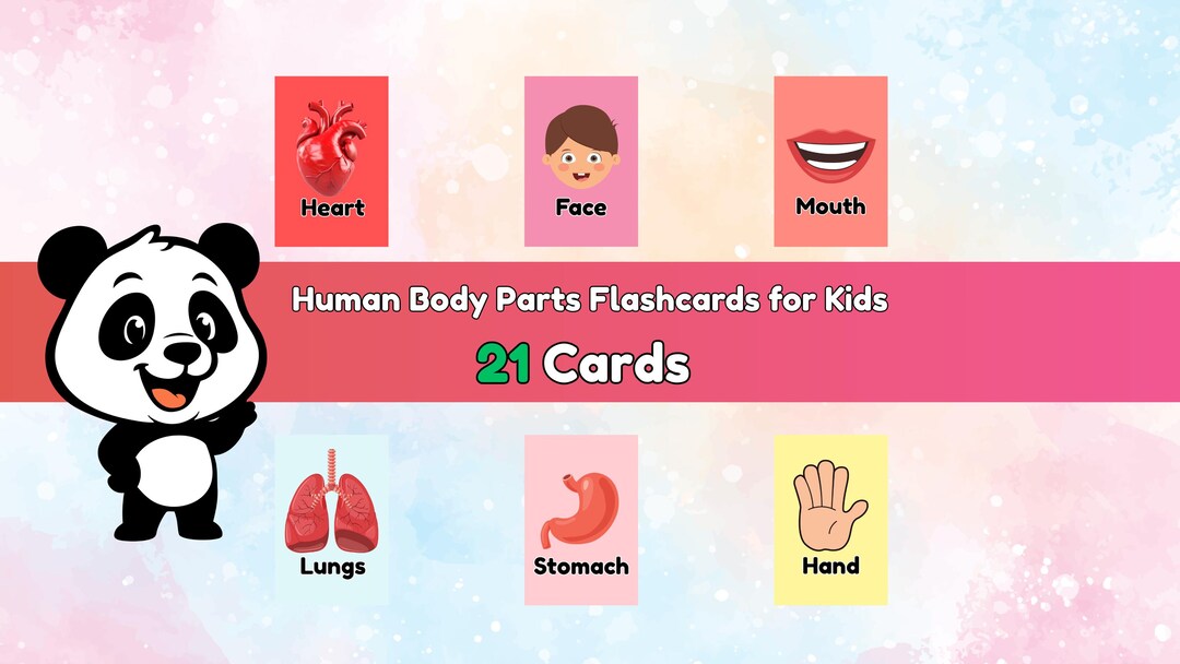 Human Body Parts Flashcards for Kids | Early Science Learning - Etsy