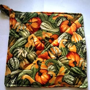 Pumpkin and Gourd Fall Potholder or Hot Pad with Hanging Loop - Pumpkin Potholders/Gourd Potholders/Fall Potholders/Fall Decor
