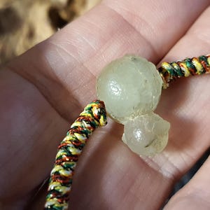 Venu Mani Bamboo Bezoar Mustika Pearl Bracelet, Healing and Abundance, izida