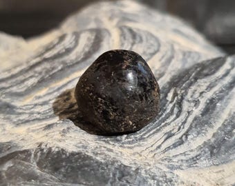 Naga Mani Black Snake Mustika Pearl 20 ct, Rebirth, Protection, Bezoar Stone, izida
