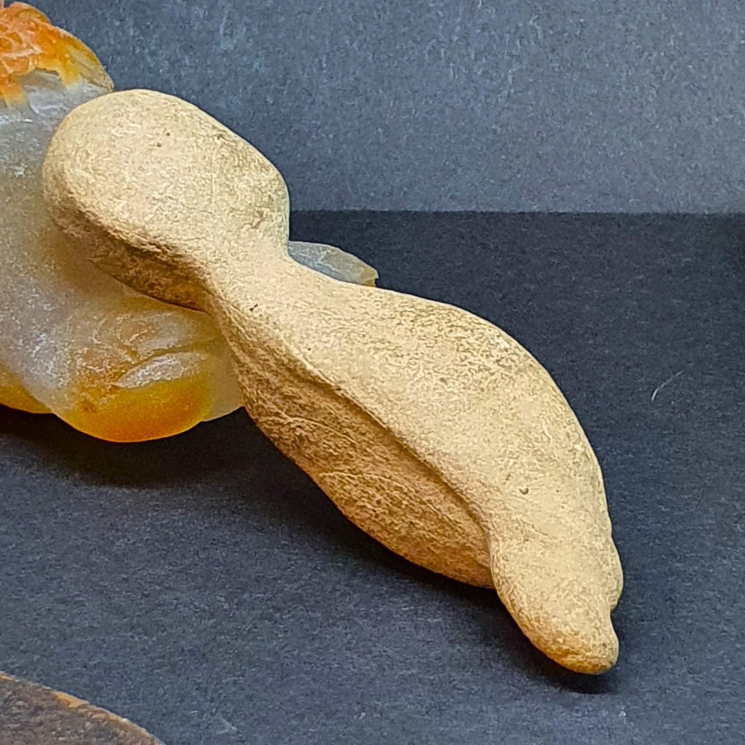 Rarest Sea Serpent Mustika Pearl Fossil, Baikal Laike, Izida Personal ...