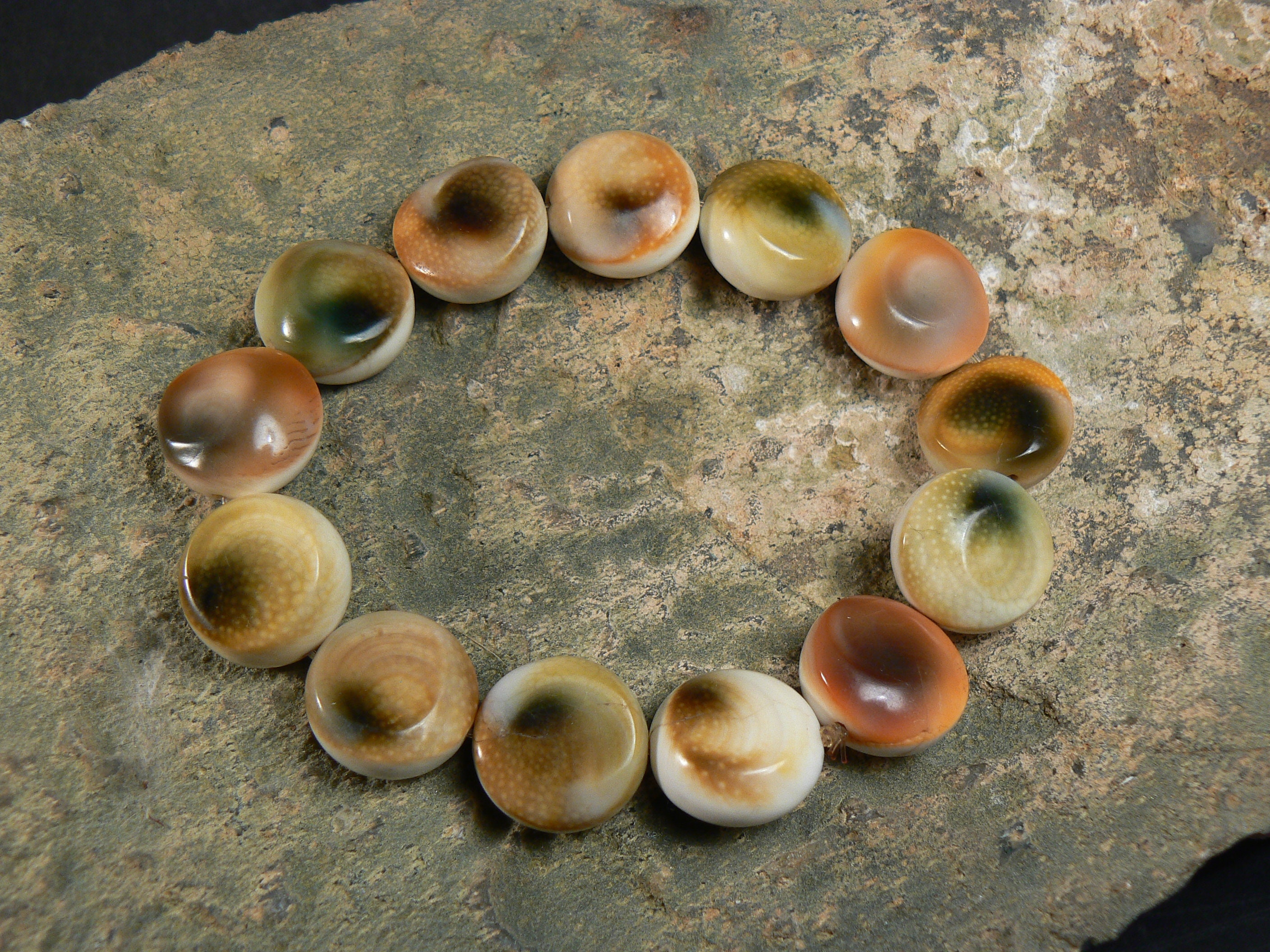 Gomti Chakra Stones Talisman Bracelet, Goddess Lakshmi, Eye of Shiva ...