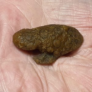 以下が含まれることがあります： 表面がでこぼこした、茶色で質感のある小さなカエルの形をした置物です。