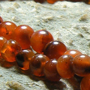 May include: A strand of carnelian beads, each bead is a deep orange-red color with a slight translucence. The beads are round and smooth, and they are strung together on a clear thread.