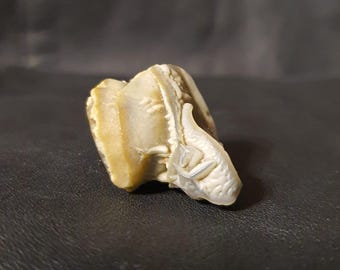 Rarest Tshugulu Mustika Pearl, 53 carat, izida