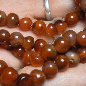 May include: A strand of carnelian beads, featuring a rich, reddish-brown color with subtle variations in tone. The beads are smooth and polished, creating a lustrous finish.